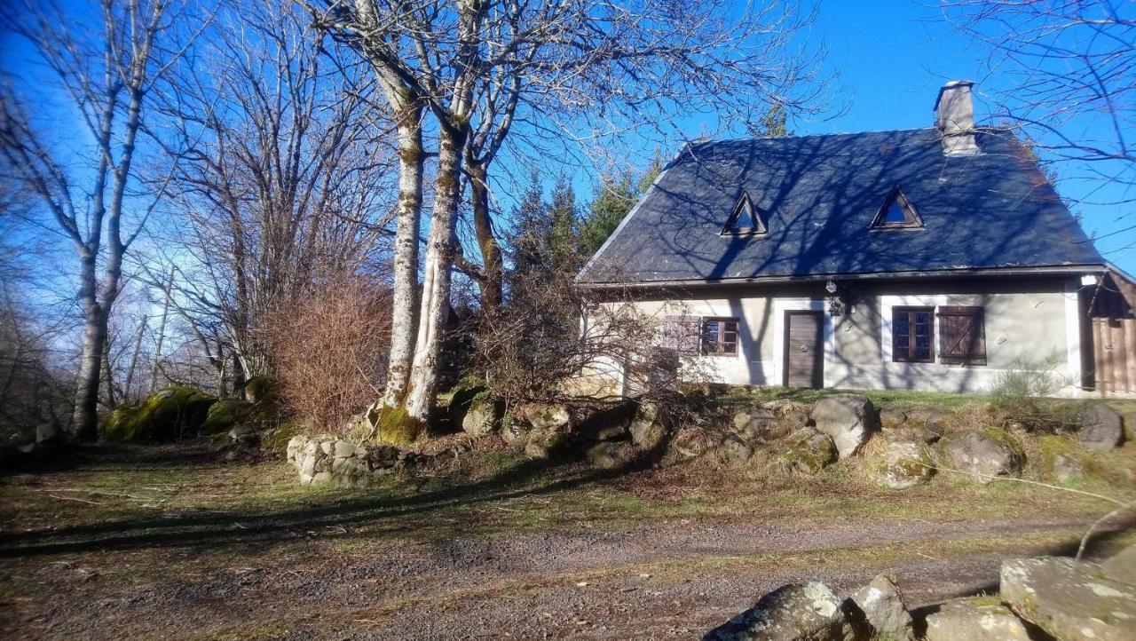 Fermette Typique Auvergnate Dans Son Ecrin D'Eau Et De Verdure Saint-Donat Zewnętrze zdjęcie